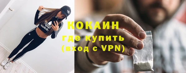 PSILOCYBIN Новодвинск