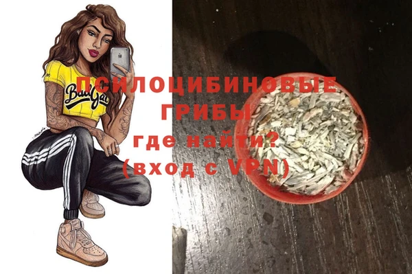 спайс Алзамай