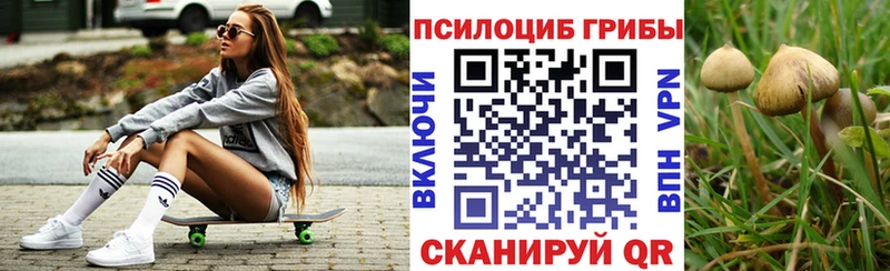 Галлюциногенные грибы Magic Shrooms  сколько стоит  Аша 