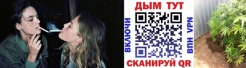 Бошки Шишки THC 21% Аша